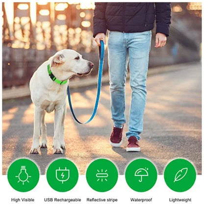 USB-Rechargeable LED Safety Collar
