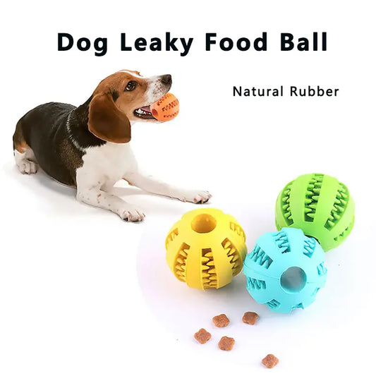 Durable Dog Chew Toy