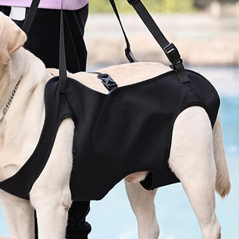 Pet Rehabilitation Sling Pet Rehabilitation Lift Vest Thicke