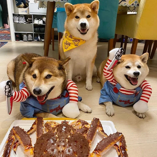 Scary Doll Dog Halloween Costume