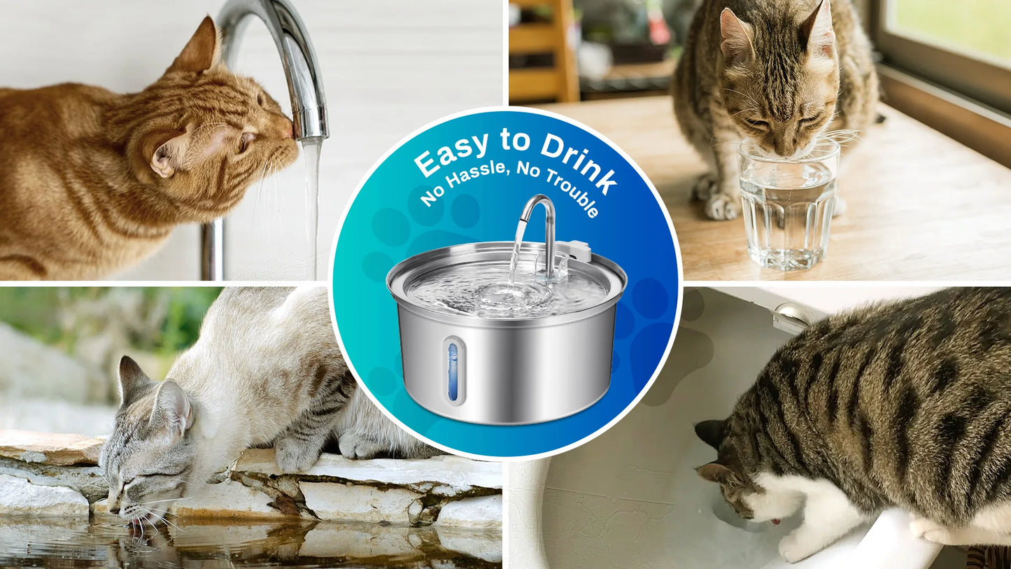 Stainless Cat Fountain—Quiet Flow, Easy Clean