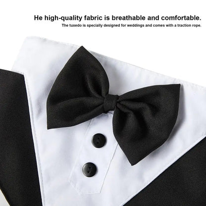 Dogs Tuxedo Wedding Party Suit