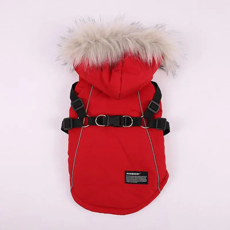 Winter Dog Jacket