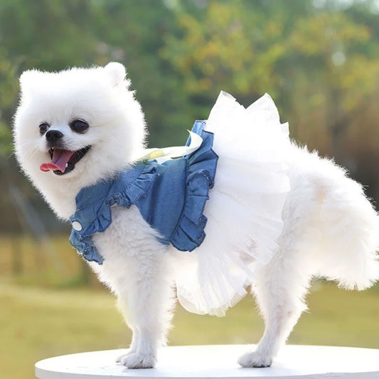 Spring Summer Dog Princess Dress