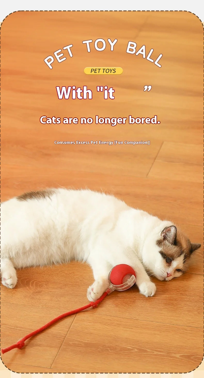 Interactive Electric Ball Cat Toy
