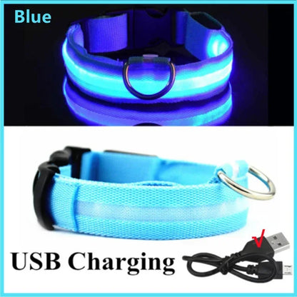 USB-Rechargeable LED Safety Collar