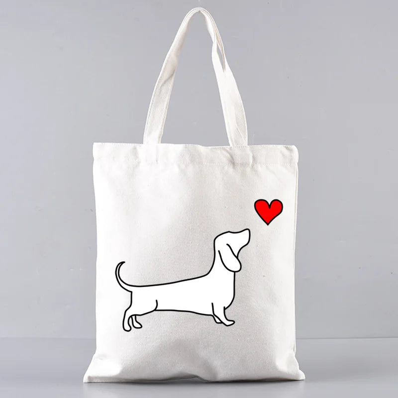 Large‑Capacity Pet Carrier Bag