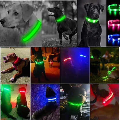 USB-Rechargeable LED Safety Collar