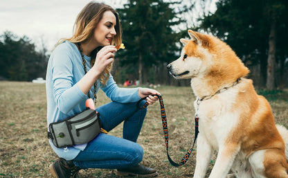 Dog Treat Bag For Training