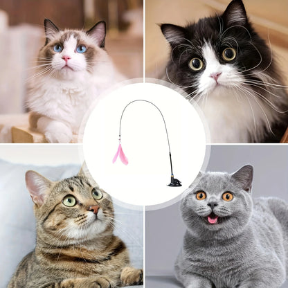 Cat Teaser Toy - Interactive