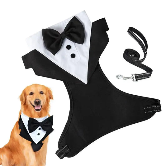 Dogs Tuxedo Wedding Party Suit