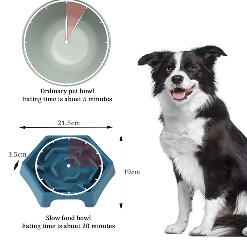 Dog Bowl Anti Choking Slow