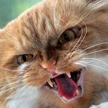 Lick Mat -dog/cat