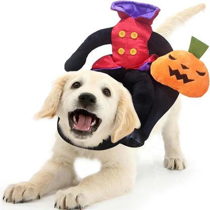 Halloween Pumpkin Dog Costume