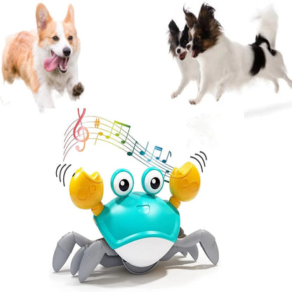 Engaging and Interactive Dancing Crab Dog Toy with Musical Sounds