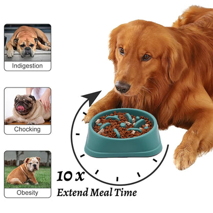 Slow Eating Feeders For Dogs