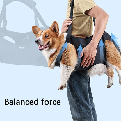 Pet Rehabilitation Sling Pet Rehabilitation Lift Vest Thicke