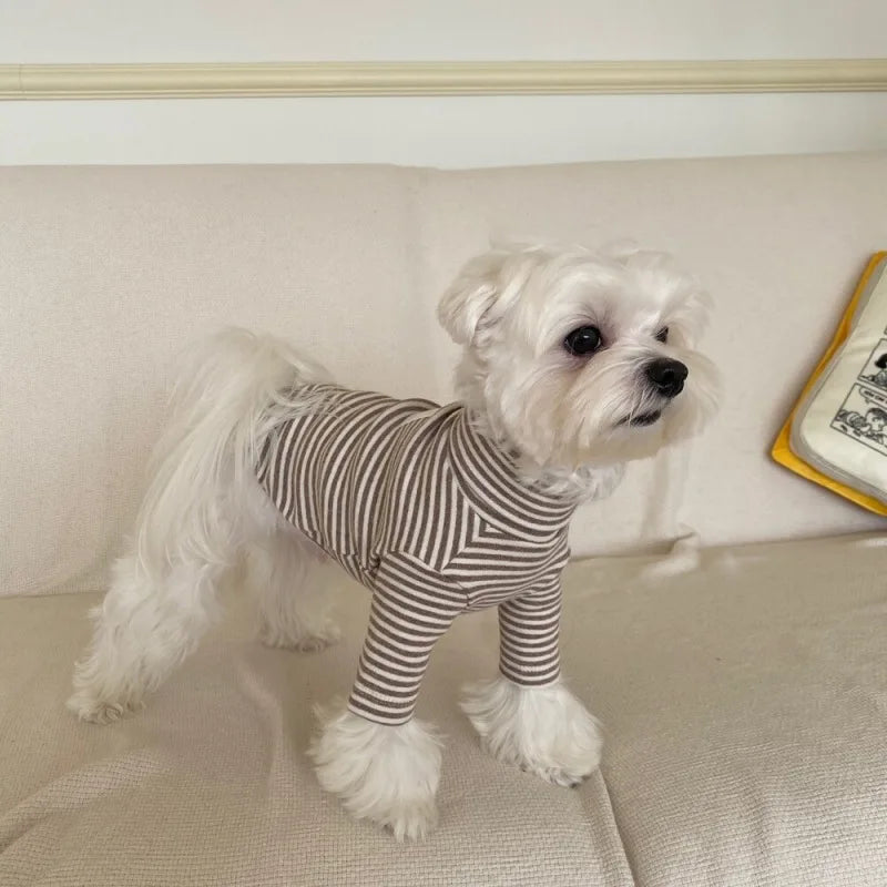 Ins Pet Dog Hoodie Winter