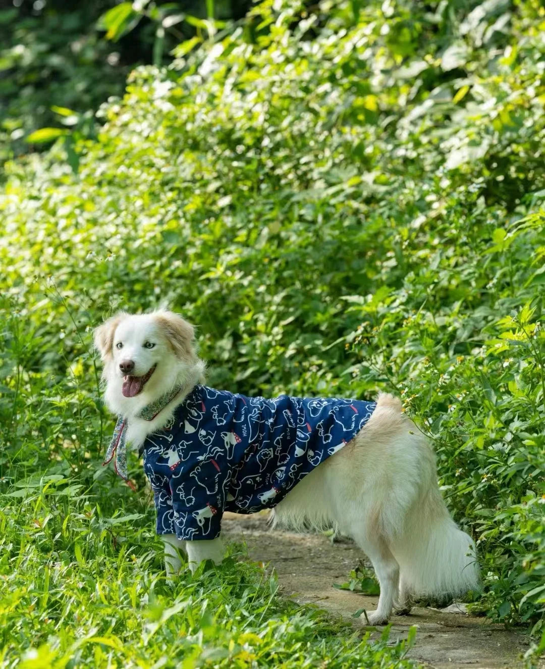 Summer Breathable Pet Shirt Dog