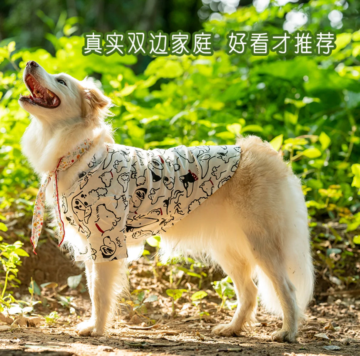 Summer Breathable Pet Shirt Dog