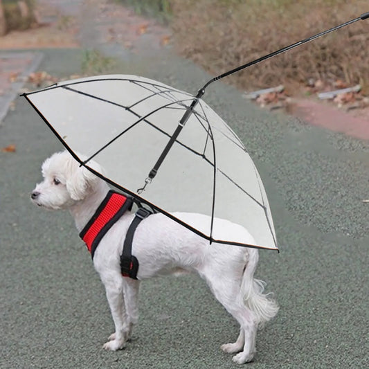 Dog Umbrella With Leash Transparent Umbrella Adjustable Angl