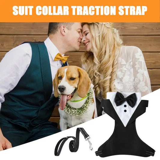 Dogs Tuxedo Wedding Party Suit