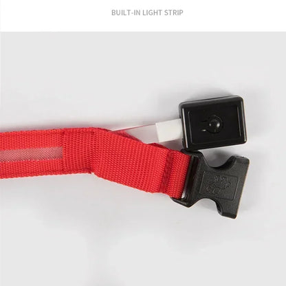 USB-Rechargeable LED Safety Collar