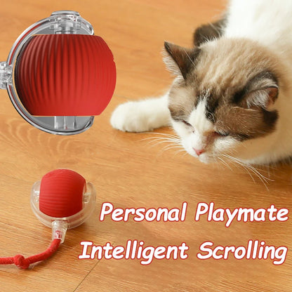 Interactive Electric Ball Cat Toy