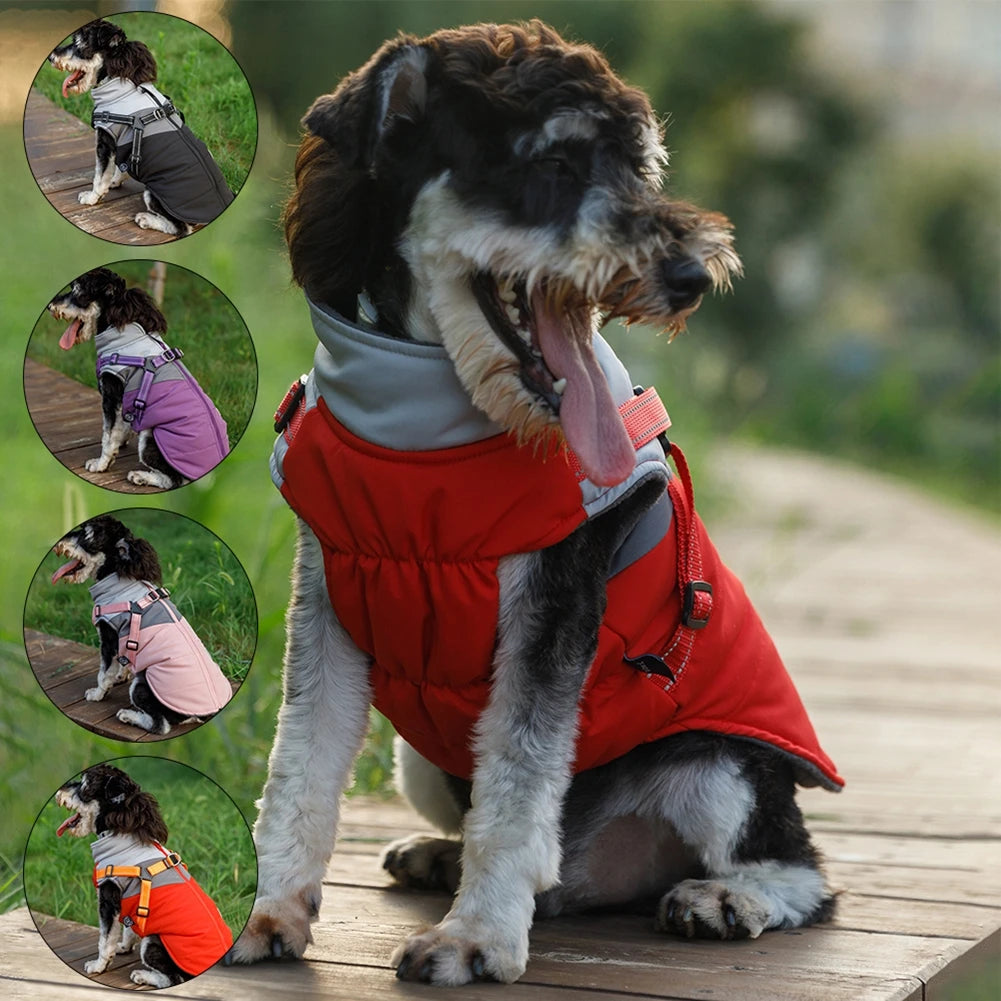 Winter Dog Jacket