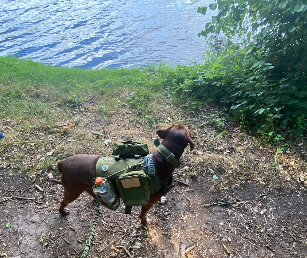 Military Large Dog Harness Collar