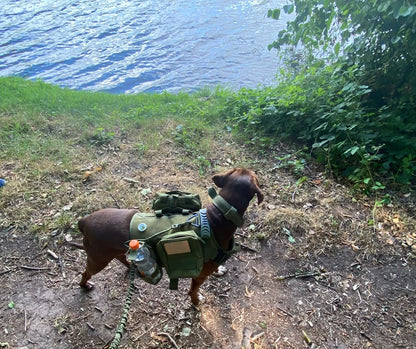 Military Large Dog Harness Collar