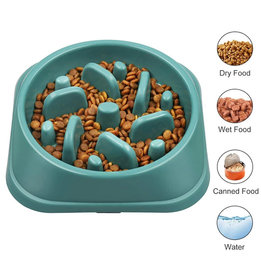 Slow Eating Feeders For Dogs