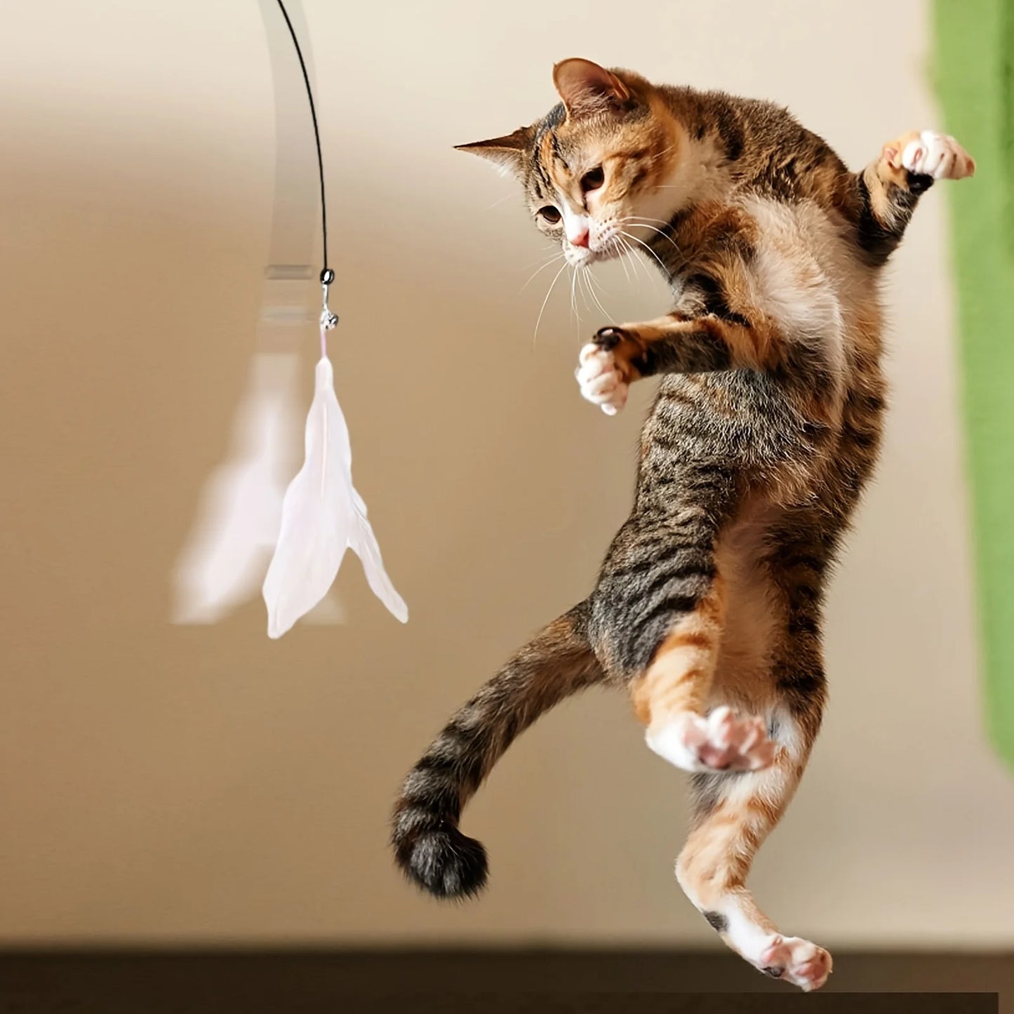 Cat Teaser Toy - Interactive