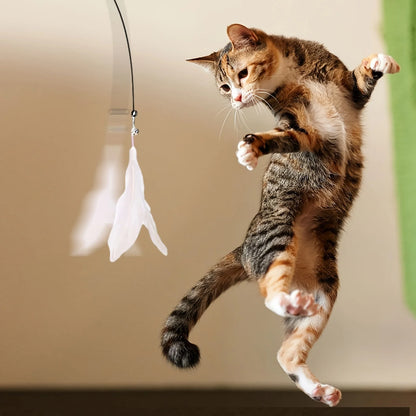 Cat Teaser Toy - Interactive