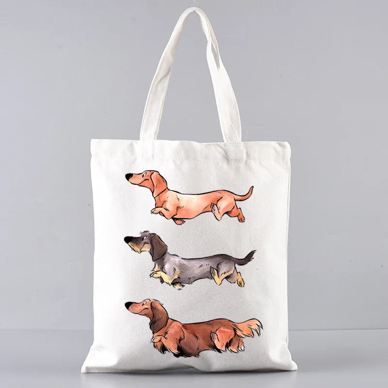 Large‑Capacity Pet Carrier Bag