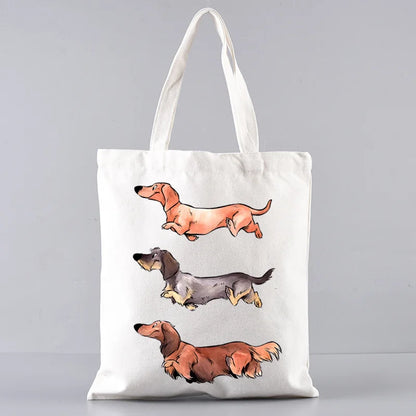 Large‑Capacity Pet Carrier Bag