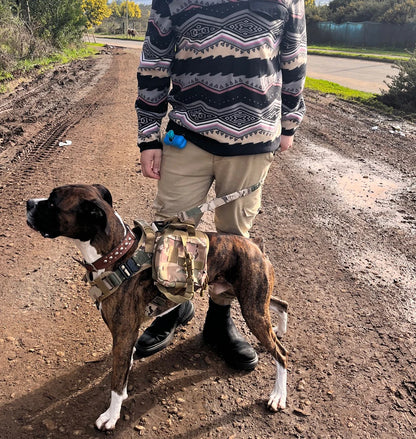 Military Large Dog Harness Collar