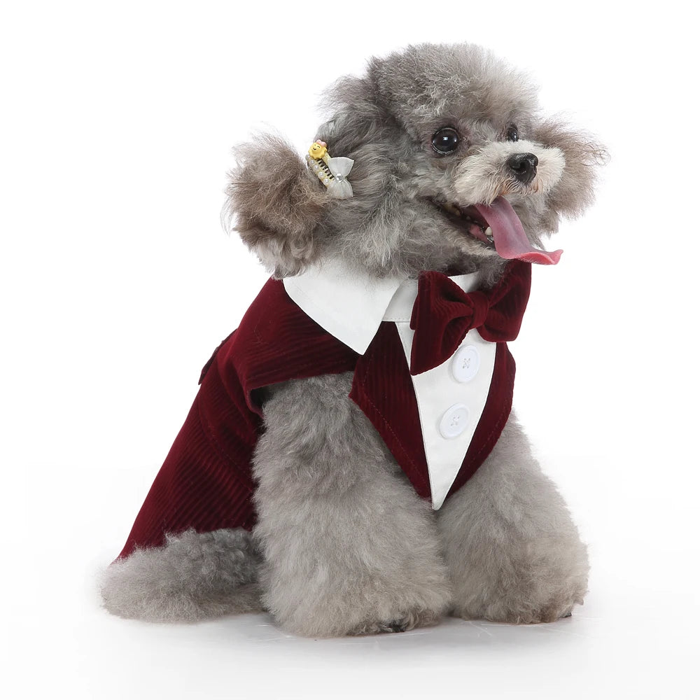 Dog Tuxedo Halloween Costume