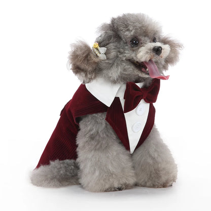 Dog Tuxedo Halloween Costume