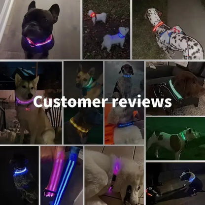 USB-Rechargeable LED Safety Collar