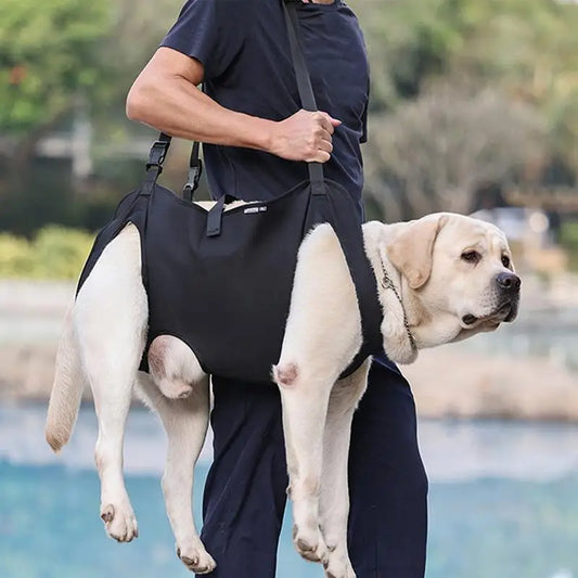 Pet Rehabilitation Sling Pet Rehabilitation Lift Vest Thicke