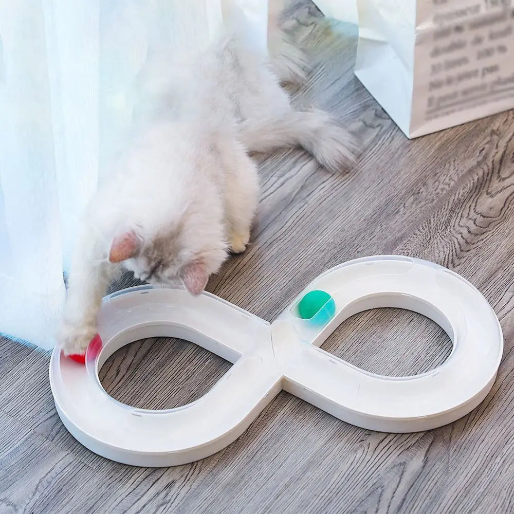 Cat Tunnel Funny Cat Fun