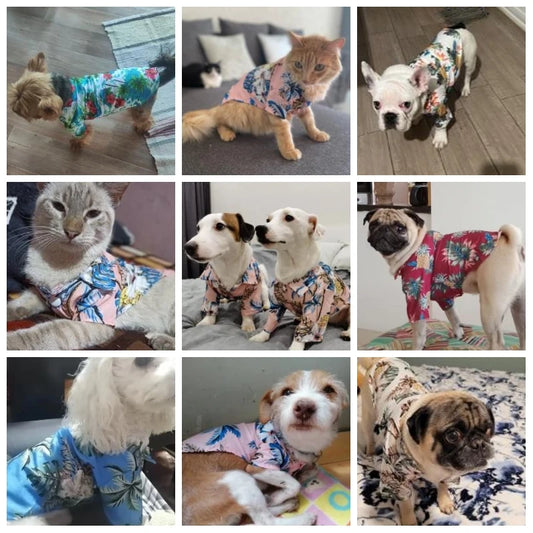 Dog Shirt Summer Pet Dog