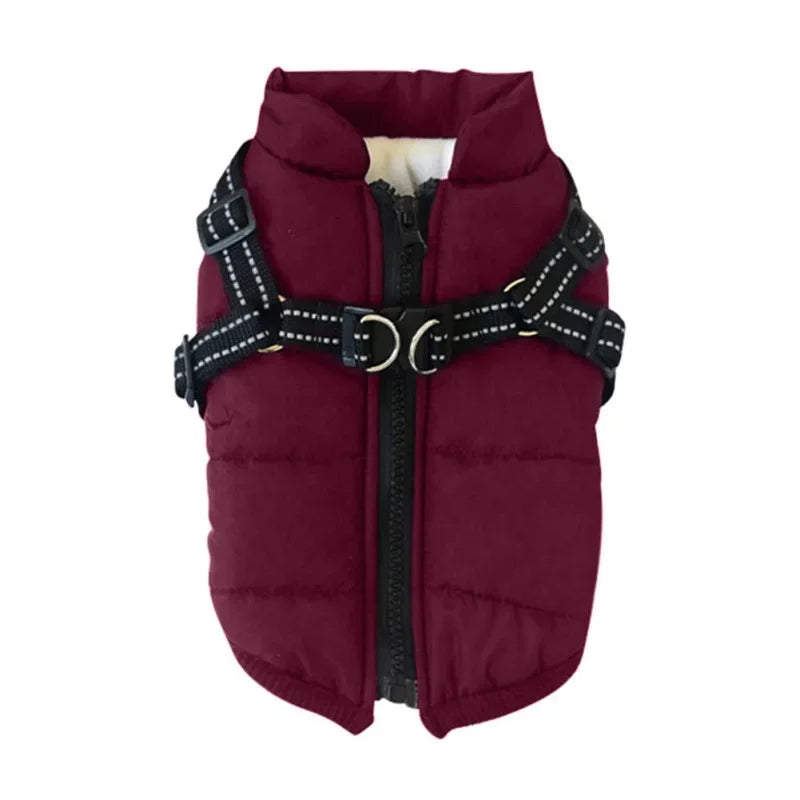 Winter Dog Jacket
