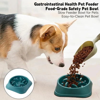 Slow Eating Feeders For Dogs