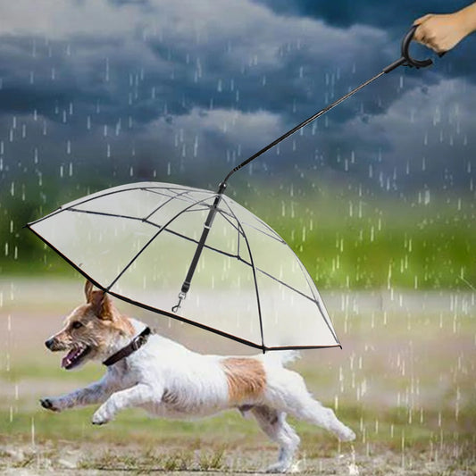 Dog Umbrella With Leash Transparent Umbrella Adjustable Angl