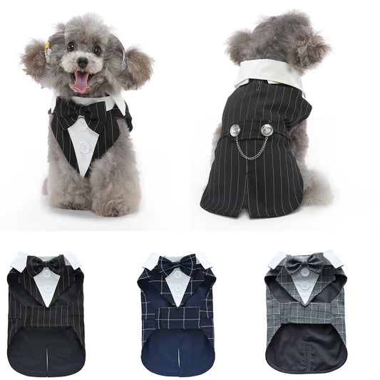 Dog Tuxedo Halloween Costume