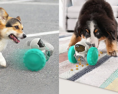 Bone Chew Toy & Treat Dispenser