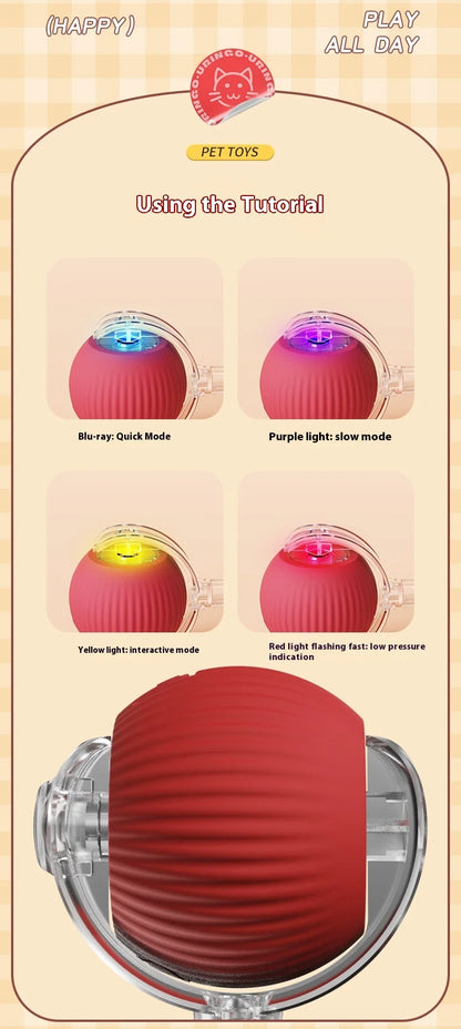 Interactive Electric Ball Cat Toy
