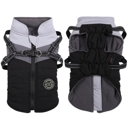 Winter Dog Jacket